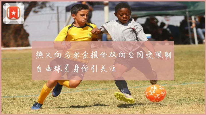 热火向戈尔金报价双向合同受限制自由球员身份引关注