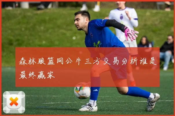 森林狼篮网公牛三方交易分析谁是最终赢家